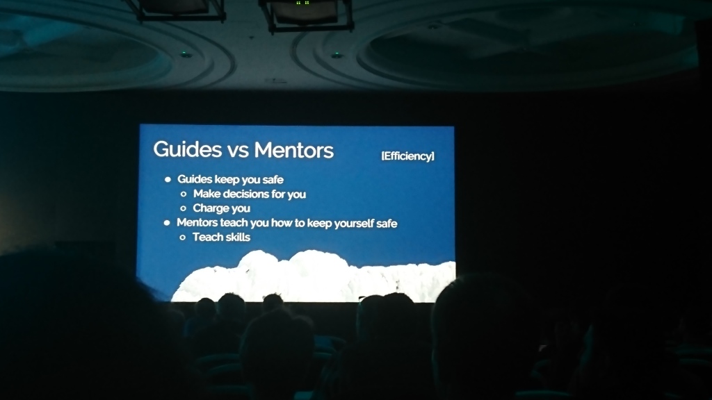 Guides vs Mentors